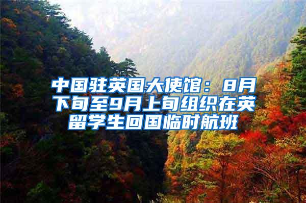 中国驻英国大使馆：8月下旬至9月上旬组织在英留学生回国临时航班