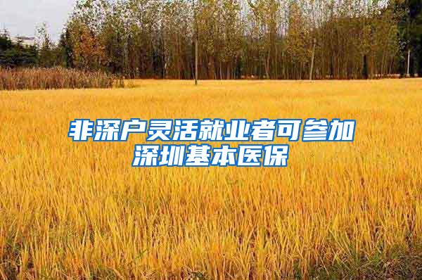 非深户灵活就业者可参加深圳基本医保