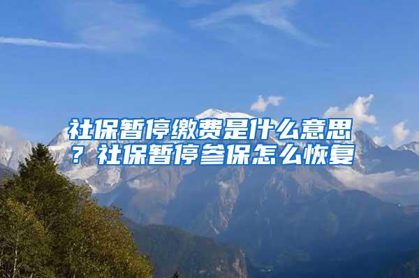 社保暂停缴费是什么意思？社保暂停参保怎么恢复