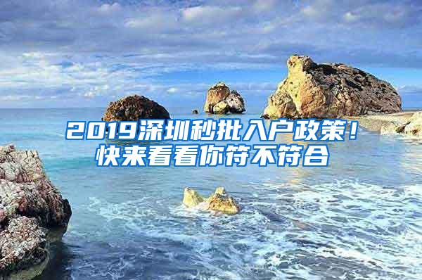 2019深圳秒批入户政策！快来看看你符不符合