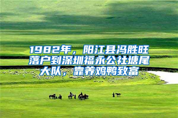 1982年，阳江县冯胜旺落户到深圳福永公社塘尾大队，靠养鸡鸭致富