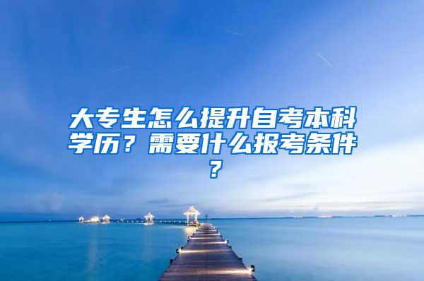 大专生怎么提升自考本科学历？需要什么报考条件？