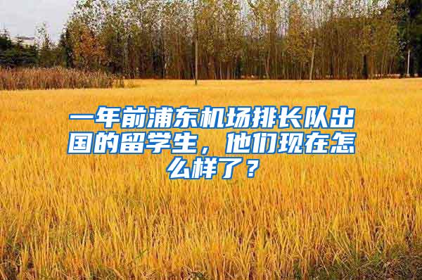 一年前浦东机场排长队出国的留学生，他们现在怎么样了？