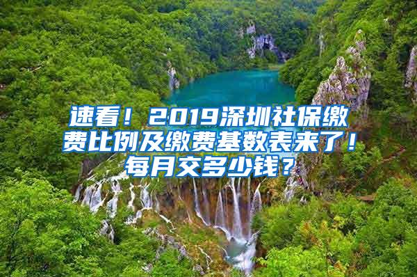 速看！2019深圳社保缴费比例及缴费基数表来了！每月交多少钱？