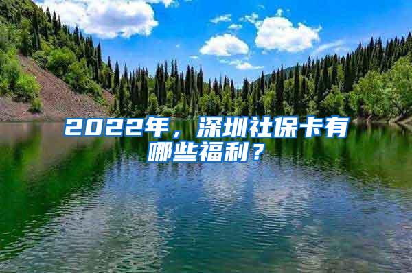 2022年，深圳社保卡有哪些福利？