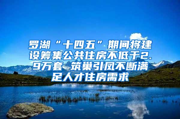 罗湖“十四五”期间将建设筹集公共住房不低于2.9万套 筑巢引凤不断满足人才住房需求