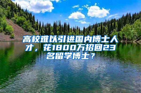 高校难以引进国内博士人才，花1800万招回23名留学博士？