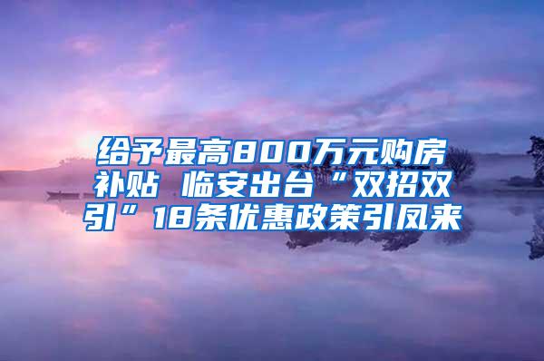 给予最高800万元购房补贴 临安出台“双招双引”18条优惠政策引凤来