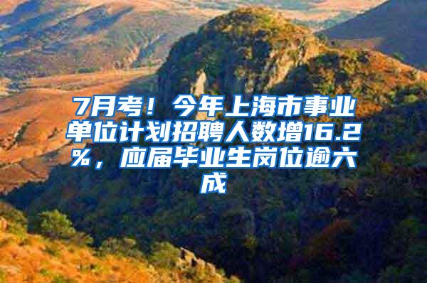 7月考！今年上海市事业单位计划招聘人数增16.2%，应届毕业生岗位逾六成