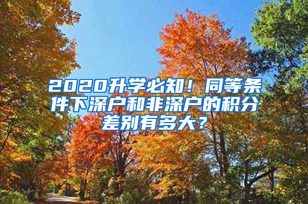 2020升学必知！同等条件下深户和非深户的积分差别有多大？