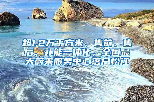 超1.2万平方米，售前、售后、补能一体化，全国最大蔚来服务中心落户松江