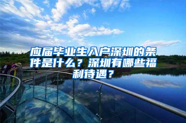 应届毕业生入户深圳的条件是什么？深圳有哪些福利待遇？