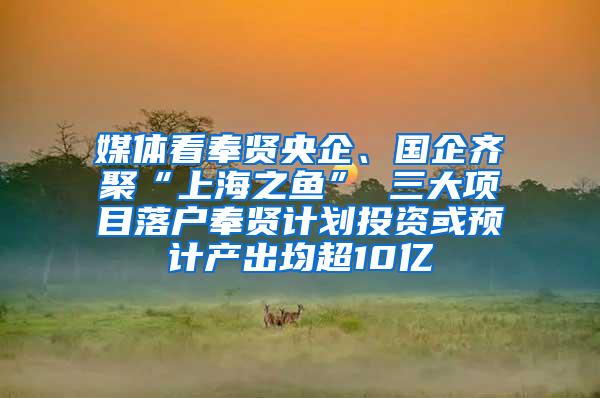 媒体看奉贤央企、国企齐聚“上海之鱼” 三大项目落户奉贤计划投资或预计产出均超10亿