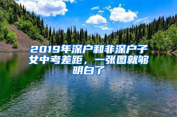 2019年深户和非深户子女中考差距，一张图就够明白了