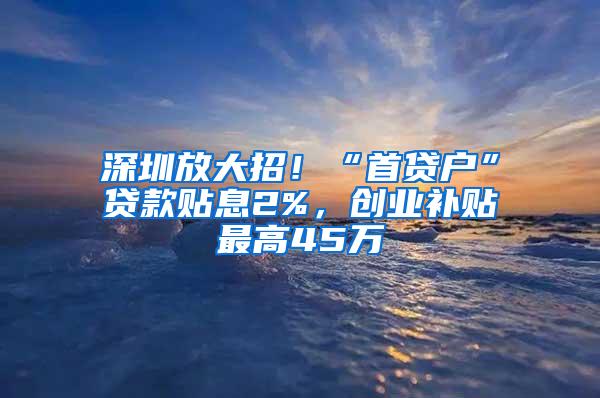 深圳放大招！“首贷户”贷款贴息2%，创业补贴最高45万