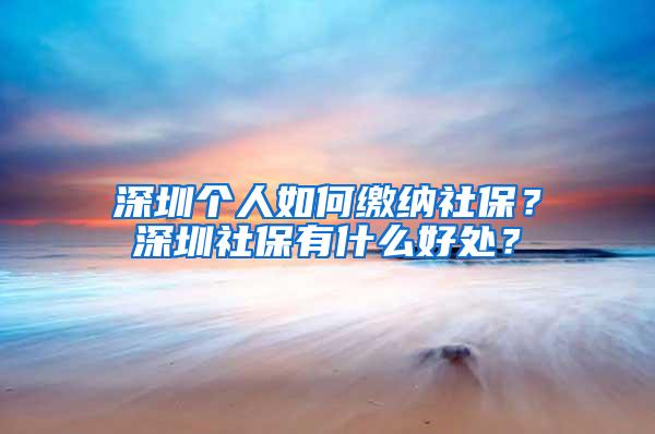 深圳个人如何缴纳社保？深圳社保有什么好处？