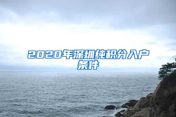 2020年深圳纯积分入户条件