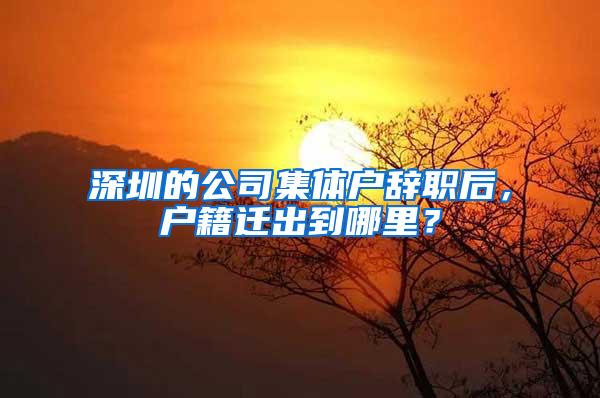 深圳的公司集体户辞职后，户籍迁出到哪里？