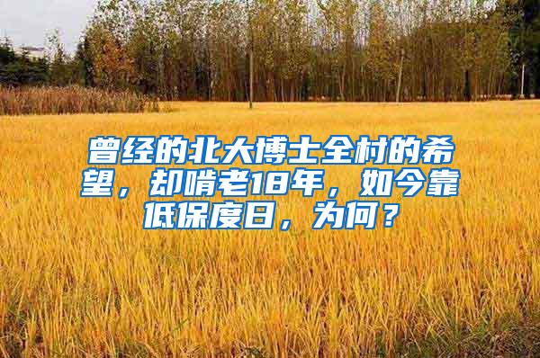 曾经的北大博士全村的希望，却啃老18年，如今靠低保度日，为何？