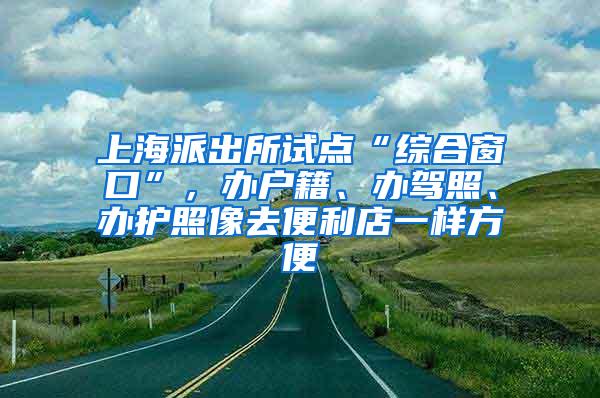 上海派出所试点“综合窗口”，办户籍、办驾照、办护照像去便利店一样方便