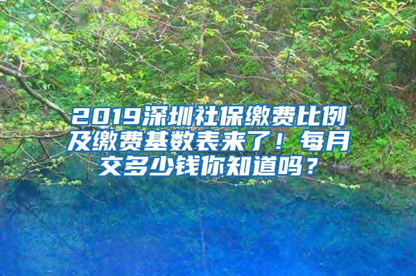 2019深圳社保缴费比例及缴费基数表来了！每月交多少钱你知道吗？