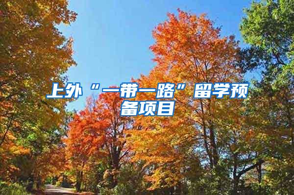 上外“一带一路”留学预备项目