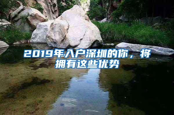 2019年入户深圳的你，将拥有这些优势