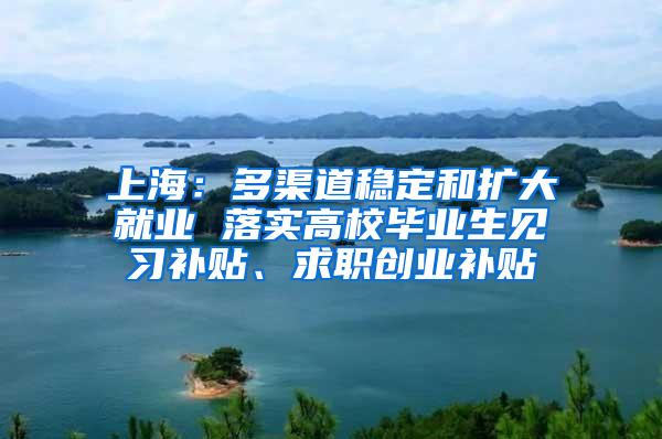 上海：多渠道稳定和扩大就业 落实高校毕业生见习补贴、求职创业补贴