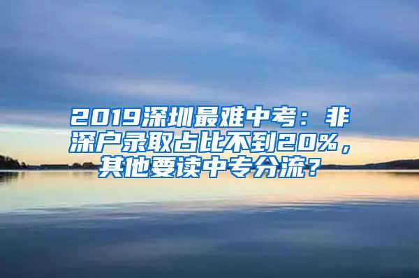 2019深圳最难中考：非深户录取占比不到20%，其他要读中专分流？