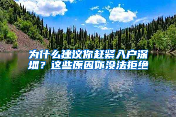 为什么建议你赶紧入户深圳？这些原因你没法拒绝