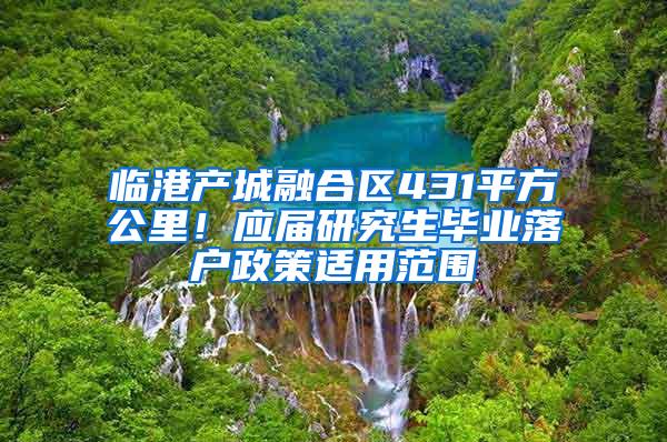 临港产城融合区431平方公里！应届研究生毕业落户政策适用范围