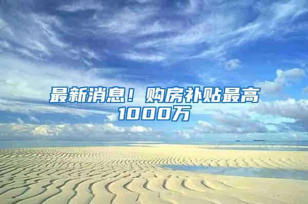 最新消息！购房补贴最高1000万