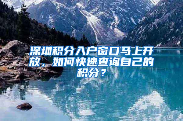 深圳积分入户窗口马上开放，如何快速查询自己的积分？