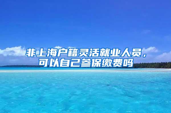 非上海户籍灵活就业人员，可以自己参保缴费吗