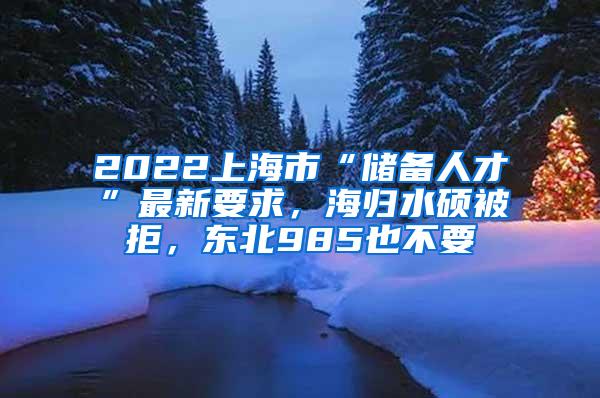 2022上海市“储备人才”最新要求，海归水硕被拒，东北985也不要