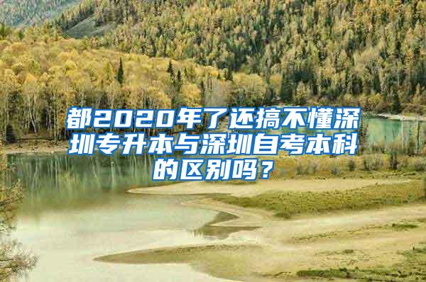 都2020年了还搞不懂深圳专升本与深圳自考本科的区别吗？