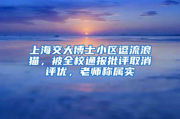 上海交大博士小区逗流浪猫，被全校通报批评取消评优，老师称属实