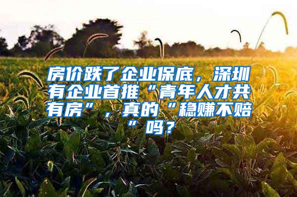 房价跌了企业保底，深圳有企业首推“青年人才共有房”，真的“稳赚不赔”吗？