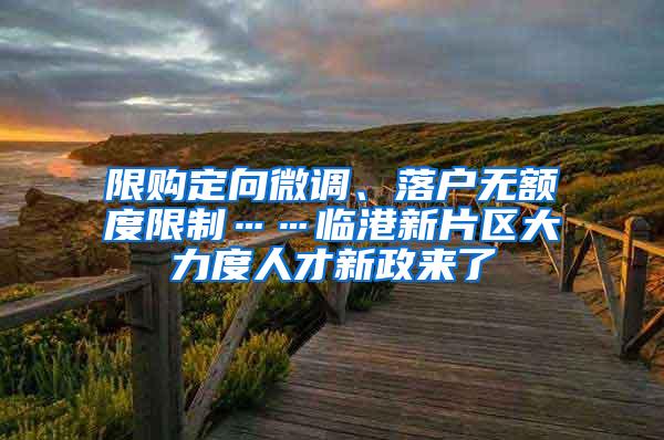 限购定向微调、落户无额度限制……临港新片区大力度人才新政来了