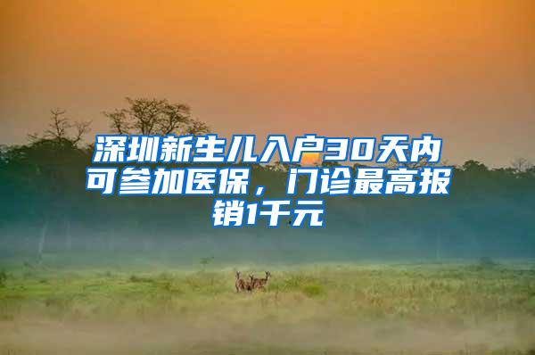 深圳新生儿入户30天内可参加医保，门诊最高报销1千元