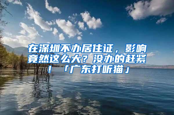 在深圳不办居住证，影响竟然这么大？没办的赶紧！「广东打听猫」