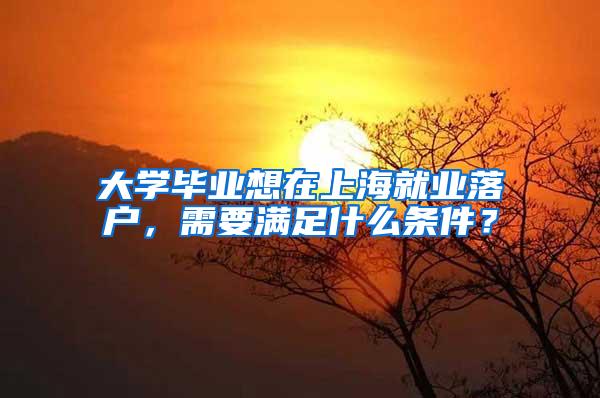 大学毕业想在上海就业落户，需要满足什么条件？