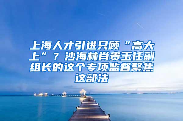 上海人才引进只顾“高大上”？沙海林肖贵玉任副组长的这个专项监督聚焦这部法