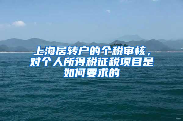 上海居转户的个税审核，对个人所得税征税项目是如何要求的