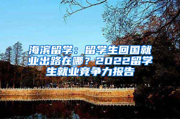 海滨留学：留学生回国就业出路在哪？2022留学生就业竞争力报告