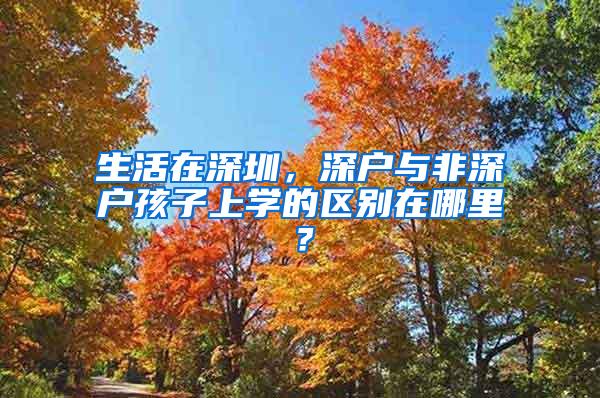 生活在深圳，深户与非深户孩子上学的区别在哪里？