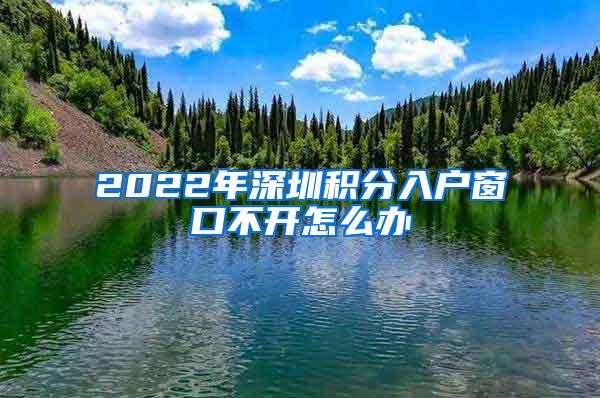 2022年深圳积分入户窗口不开怎么办