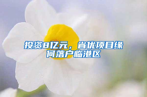 投资8亿元，省优项目缘何落户临港区