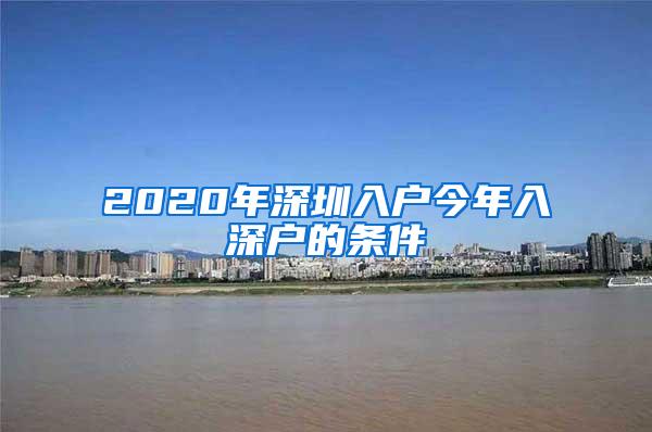 2020年深圳入户今年入深户的条件