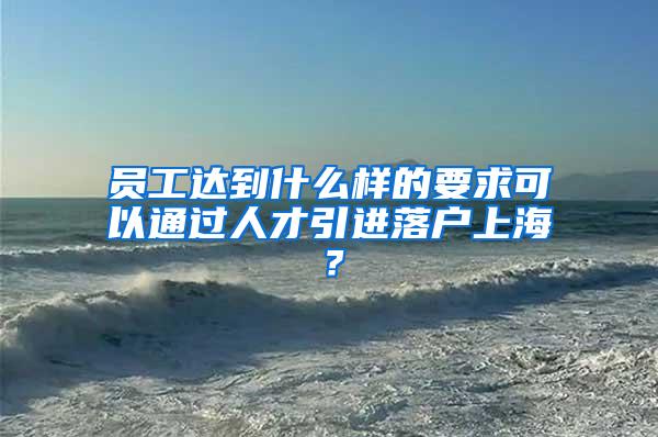 员工达到什么样的要求可以通过人才引进落户上海？